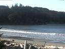 ./images/calvert/beach/20170206/beach20170206_105002.jpg