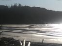 ./images/calvert/beach/20170206/beach20170206_141503.jpg