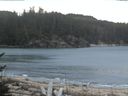 ./images/calvert/beach/20170207/beach20170207_083501.jpg