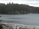./images/calvert/beach/20170207/beach20170207_094003.jpg