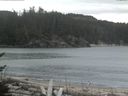 ./images/calvert/beach/20170207/beach20170207_095002.jpg