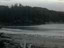 ./images/calvert/beach/20170208/beach20170208_073003.jpg