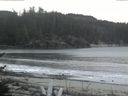 ./images/calvert/beach/20170208/beach20170208_082003.jpg