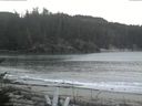./images/calvert/beach/20170208/beach20170208_082503.jpg