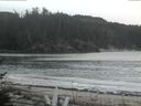./images/calvert/beach/20170208/beach20170208_090501.jpg