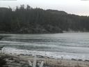 ./images/calvert/beach/20170208/beach20170208_091001.jpg