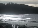 ./images/calvert/beach/20170208/beach20170208_132001.jpg