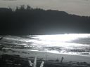 ./images/calvert/beach/20170208/beach20170208_134502.jpg