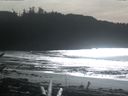 ./images/calvert/beach/20170208/beach20170208_135002.jpg