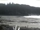 ./images/calvert/beach/20170208/beach20170208_150502.jpg