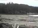 ./images/calvert/beach/20170208/beach20170208_161503.jpg