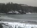 ./images/calvert/beach/20170209/beach20170209_081002.jpg