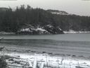 ./images/calvert/beach/20170209/beach20170209_083502.jpg
