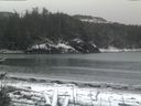 ./images/calvert/beach/20170209/beach20170209_084002.jpg