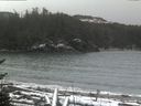 ./images/calvert/beach/20170210/beach20170210_110001.jpg