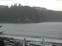 ./images/calvert/beach/20170210/beach20170210_130502.jpg