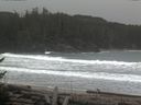 ./images/calvert/beach/20170211/beach20170211_104501.jpg