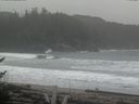 ./images/calvert/beach/20170211/beach20170211_105501.jpg