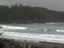 ./images/calvert/beach/20170211/beach20170211_111502.jpg