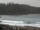 ./images/calvert/beach/20170211/beach20170211_112003.jpg