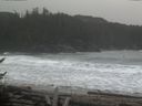./images/calvert/beach/20170211/beach20170211_112503.jpg