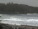 ./images/calvert/beach/20170211/beach20170211_113503.jpg
