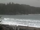 ./images/calvert/beach/20170211/beach20170211_120001.jpg