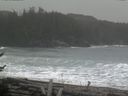 ./images/calvert/beach/20170211/beach20170211_122002.jpg