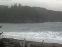./images/calvert/beach/20170211/beach20170211_122502.jpg