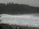 ./images/calvert/beach/20170211/beach20170211_125503.jpg