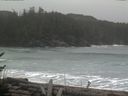 ./images/calvert/beach/20170211/beach20170211_131002.jpg