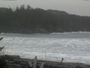 ./images/calvert/beach/20170211/beach20170211_133502.jpg