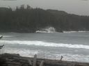 ./images/calvert/beach/20170211/beach20170211_134502.jpg