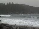 ./images/calvert/beach/20170211/beach20170211_135502.jpg
