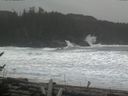 ./images/calvert/beach/20170212/beach20170212_125503.jpg
