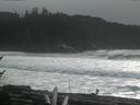 ./images/calvert/beach/20170212/beach20170212_143503.jpg