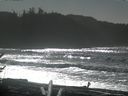 ./images/calvert/beach/20170213/beach20170213_132002.jpg