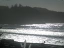 ./images/calvert/beach/20170213/beach20170213_133502.jpg