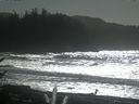 ./images/calvert/beach/20170213/beach20170213_134503.jpg
