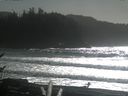 ./images/calvert/beach/20170213/beach20170213_140003.jpg