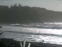 ./images/calvert/beach/20170213/beach20170213_142503.jpg