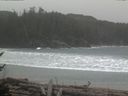 ./images/calvert/beach/20170214/beach20170214_132001.jpg