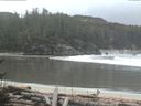 ./images/calvert/beach/20170215/beach20170215_090502.jpg