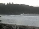 ./images/calvert/beach/20170215/beach20170215_134502.jpg