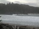./images/calvert/beach/20170215/beach20170215_144002.jpg