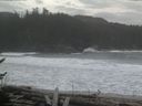 ./images/calvert/beach/20170215/beach20170215_144503.jpg