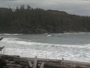 ./images/calvert/beach/20170215/beach20170215_150503.jpg