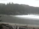 ./images/calvert/beach/20170216/beach20170216_113003.jpg