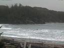./images/calvert/beach/20170216/beach20170216_170502.jpg