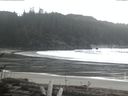 ./images/calvert/beach/20170219/beach20170219_152502.jpg